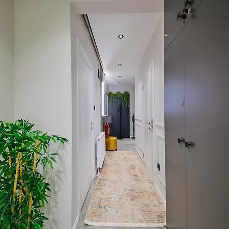 Apartamento 2 1 Fully Equipped Air Conditioned In Taksim Square Estambul
